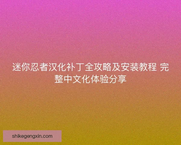 迷你忍者汉化补丁全攻略及安装教程 完整中文化体验分享
